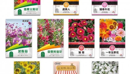 凤仙花是一年生还是多年生？答案来了，快来看看吧！