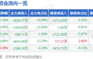 股票行情快报：网宿科技（300017）6月20日主力资金净卖出4026.37万元