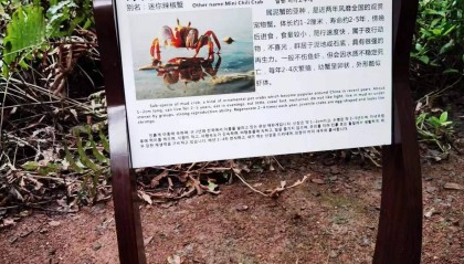 微信扫码即享！穹游导览，让景区故事 “随扫随听”