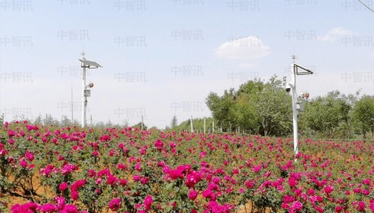 智慧农业种植管控系统与智慧农业气候管控系统