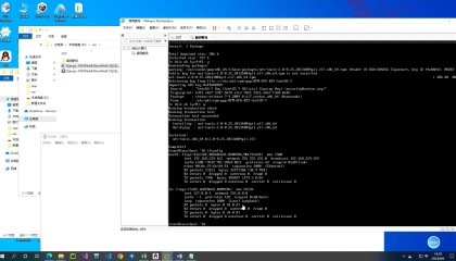 软件漏洞(软件漏洞扫描)