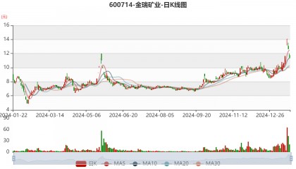 金瑞矿业：2024年净利同比预增355.67%