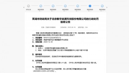数字政通因虚假检测报告问题被罚！