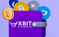 山寨币钱包防御增强 XBIT Wallet助力资产安全度过非农行情