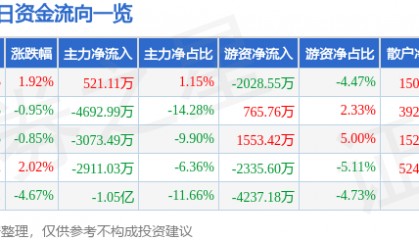 股票行情快报：网宿科技（300017）5月29日主力资金净买入521.11万元
