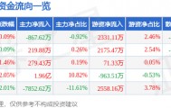股票行情快报：网宿科技（300017）8月5日主力资金净卖出867.62万元