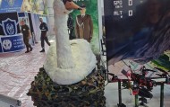 脑洞大开：波兰推出用于突袭作战的“鸭子”无人机，实用价值存疑