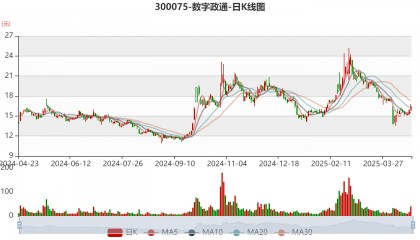 数字政通：2024年亏损3.96亿元