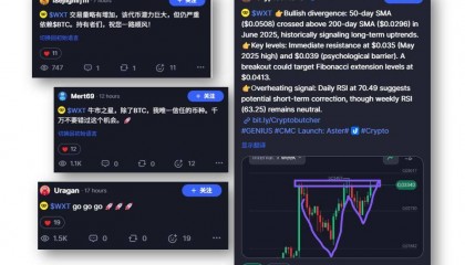 平台币中的黑马WXT正在逐步显现WEEX强大潜力