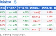 股票行情快报：康强电子（002119）7月15日主力资金净卖出954.53万元