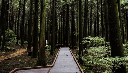 厦门鼓浪屿怎么玩最好，去厦门鼓浪屿应该怎么玩以及费用多少