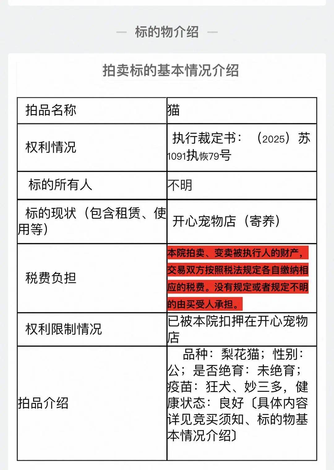 起拍价500元，法拍狸花猫吸引超500人竞拍！有人愿出8000元拍下