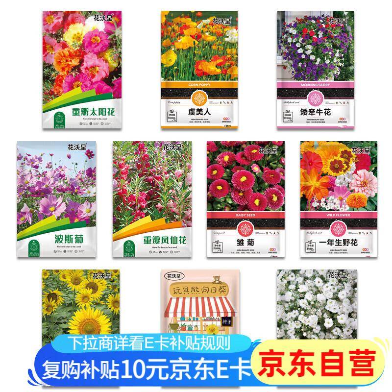 凤仙花是一年生还是多年生？答案来了，快来看看吧！