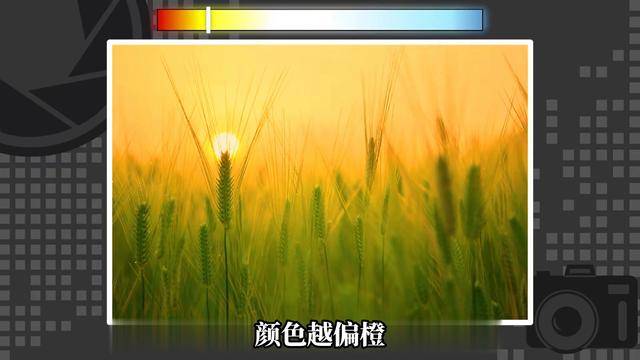 白平衡设置全攻略，色温 K 值一次看懂