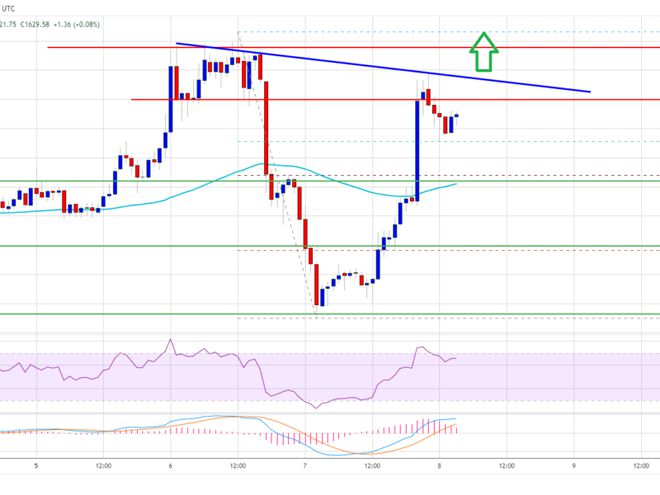ltc币价格(ltc币现在什么价)